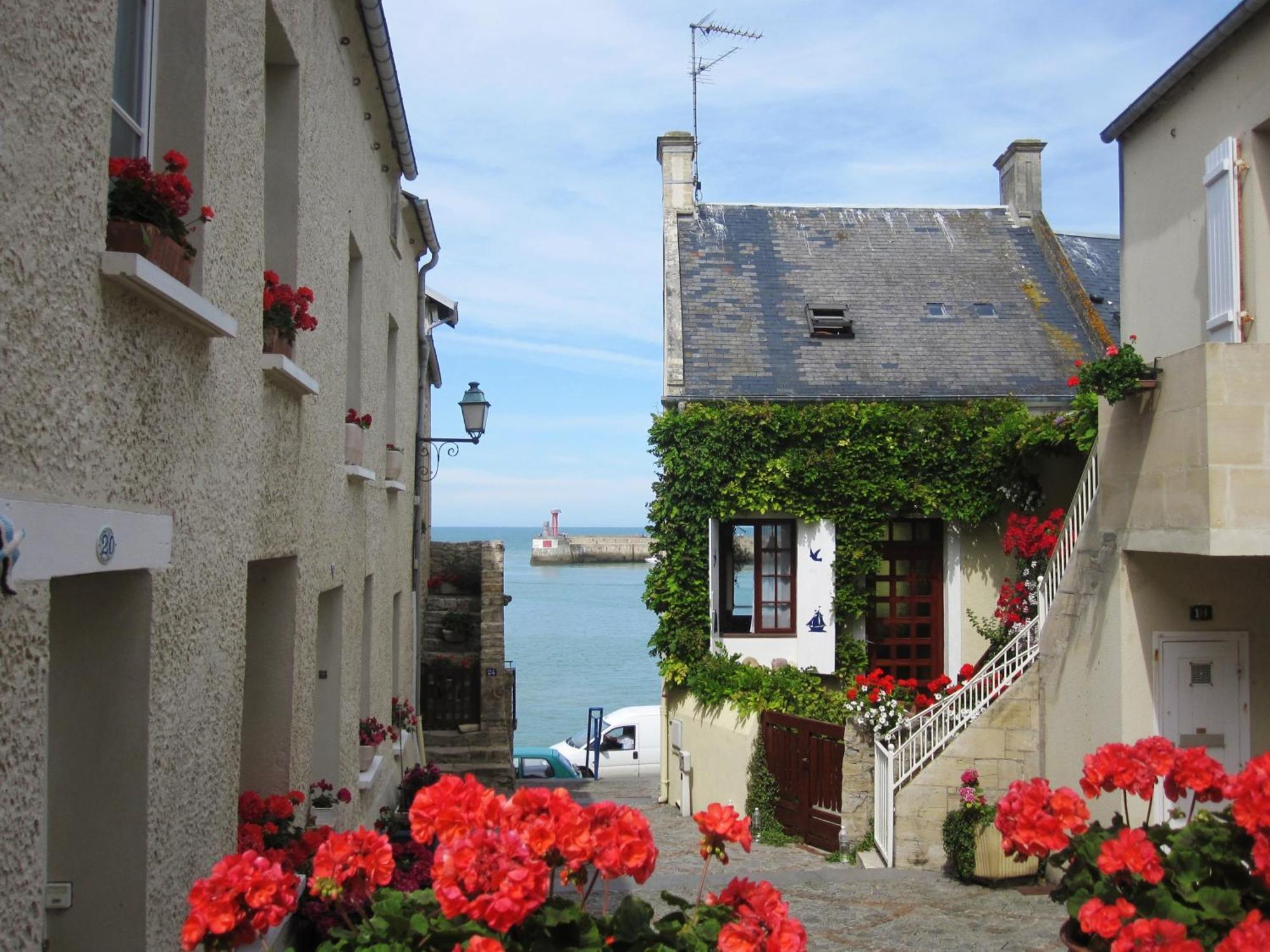 Gite "Au P'Tit Tourois" De Plain-Pied Tout Confort Avec Veranda Proche D'Omaha Beach Et De Bayeux Accueillant Les Animaux Eksteriør bilde
